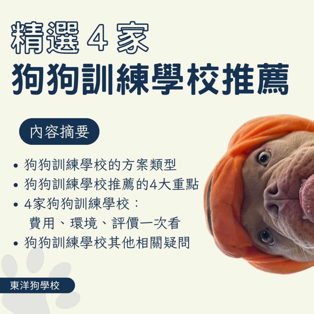 精選4家狗狗訓練學校推薦：來看飼主們怎麼說