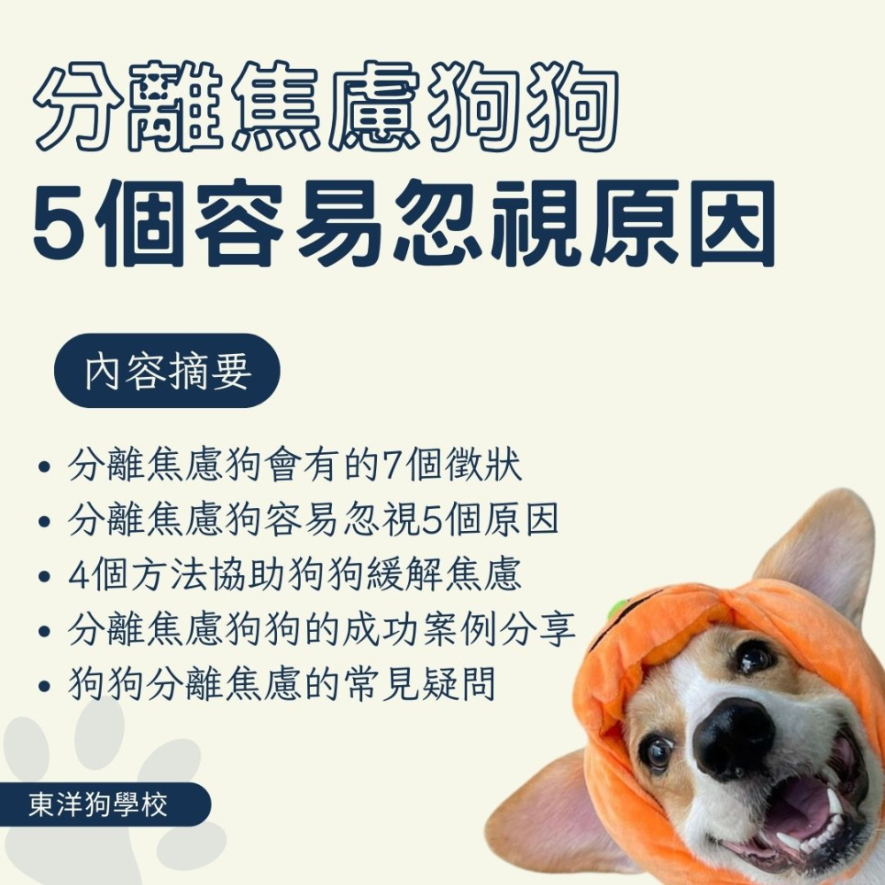 分離焦慮狗狗的7種表現：5個飼主容易忽視的原因！