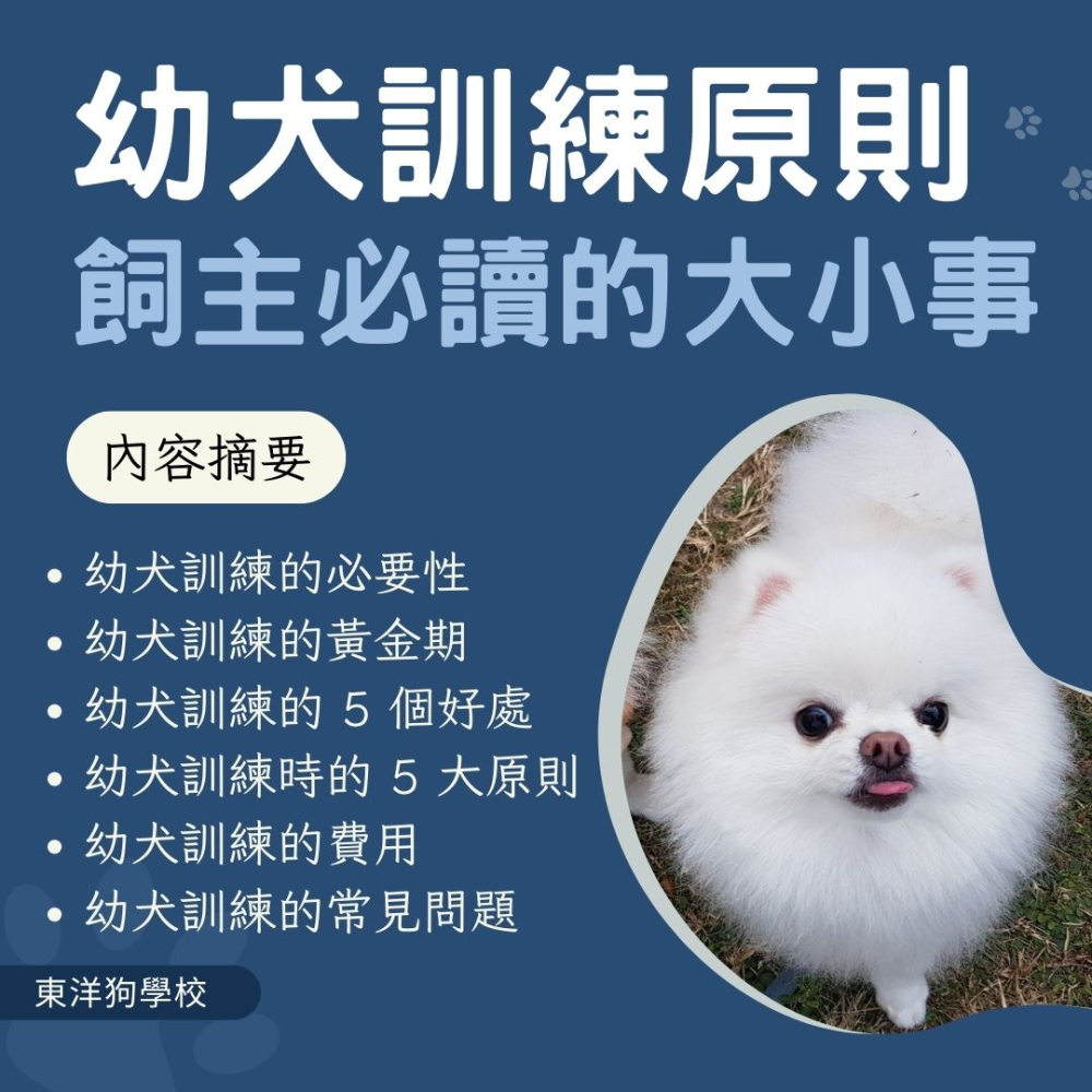 幼犬訓練原則飼主必讀的大小事