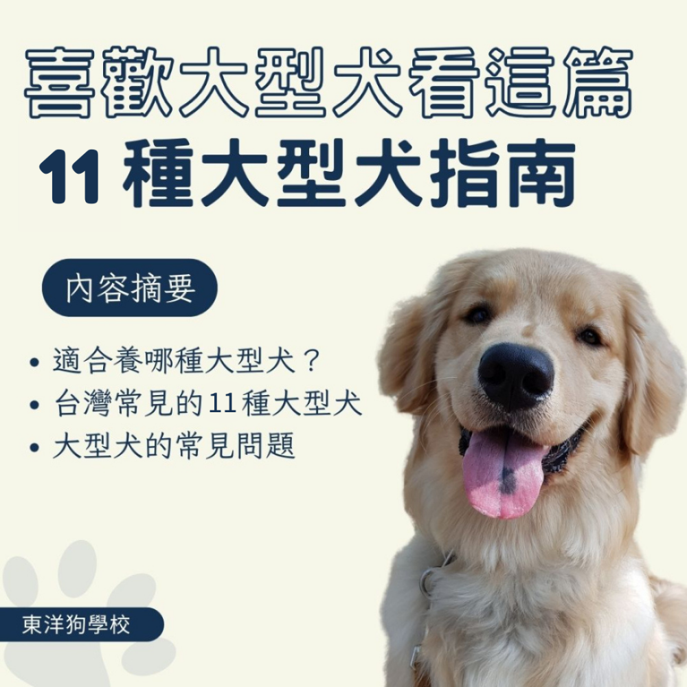 東洋狗學校封面