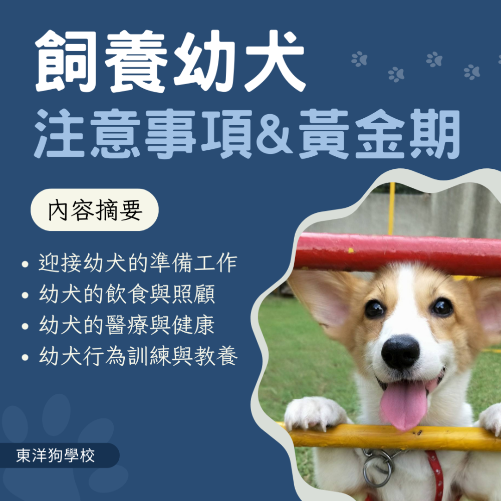 東洋狗學校1