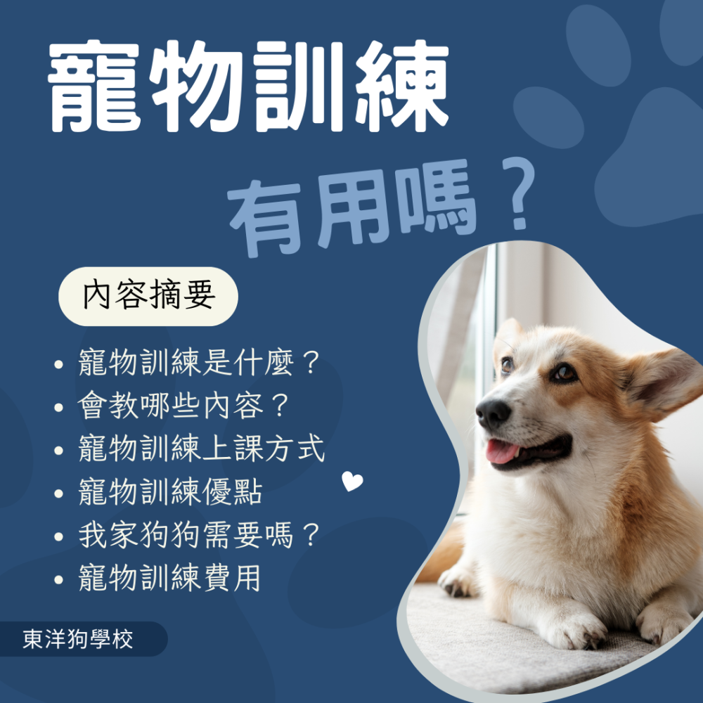 東洋狗學校2