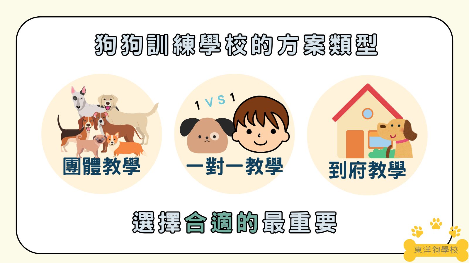 狗狗訓練學校的方案類型