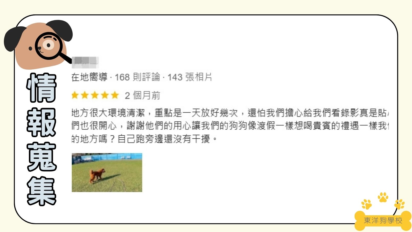 中部地區：群峰犬學校