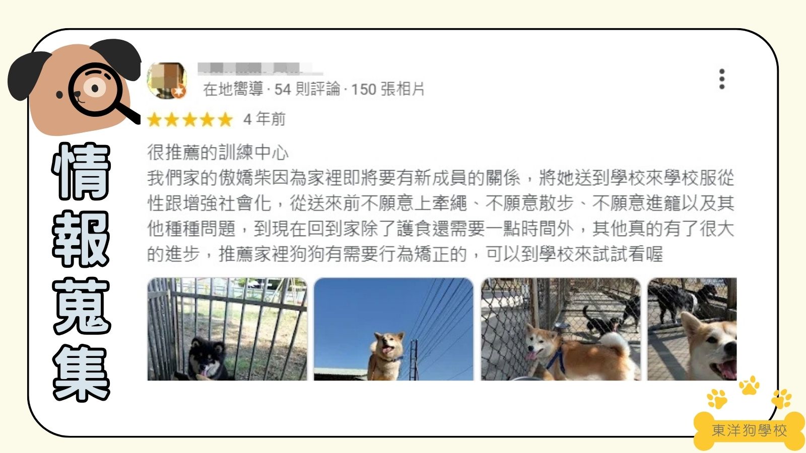 南部地區：東洋狗學校