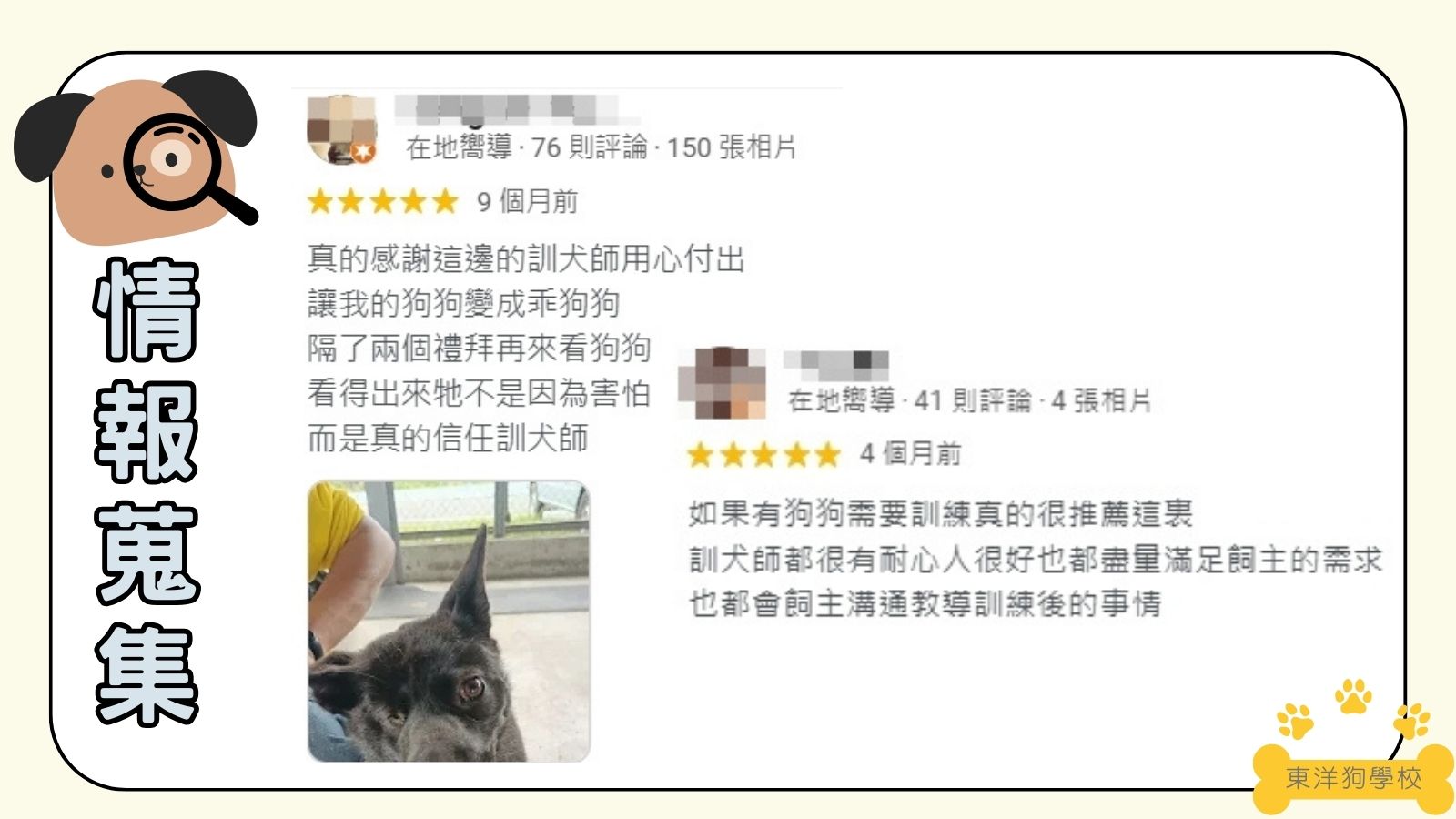 南部地區：東洋狗學校