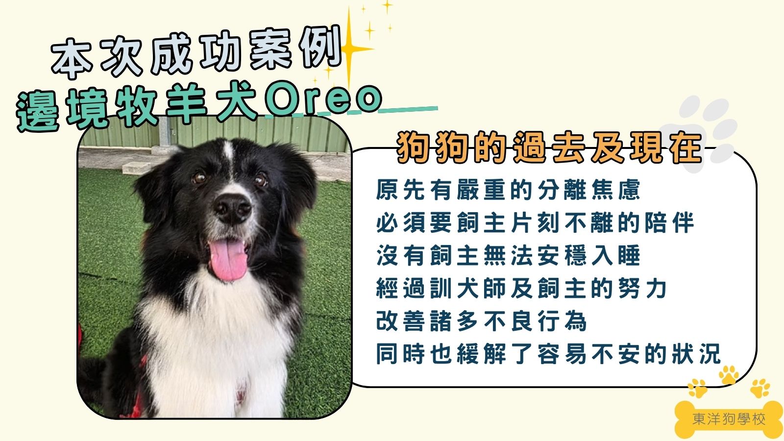 分離焦慮狗案例