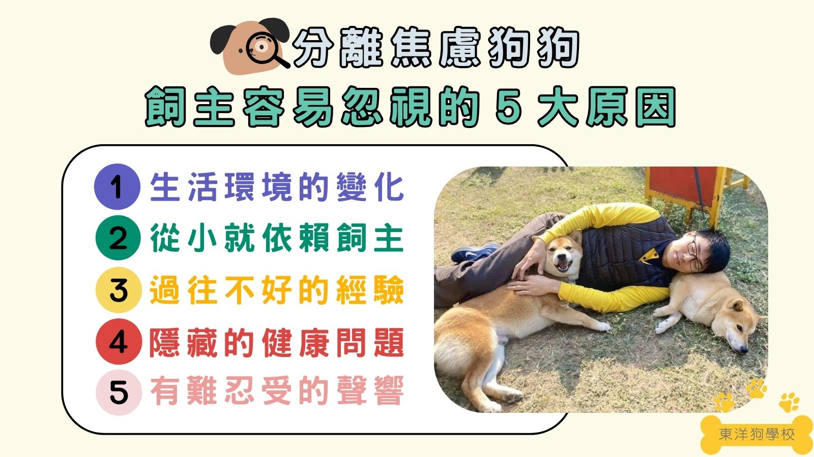 分離焦慮狗的原因
