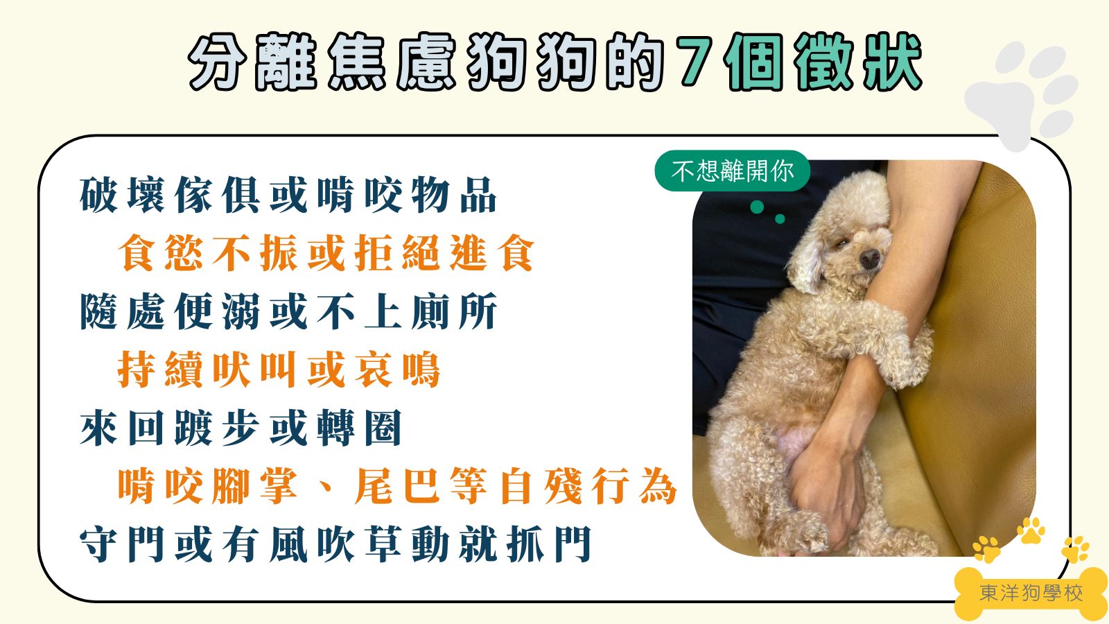 分離焦慮狗的表現