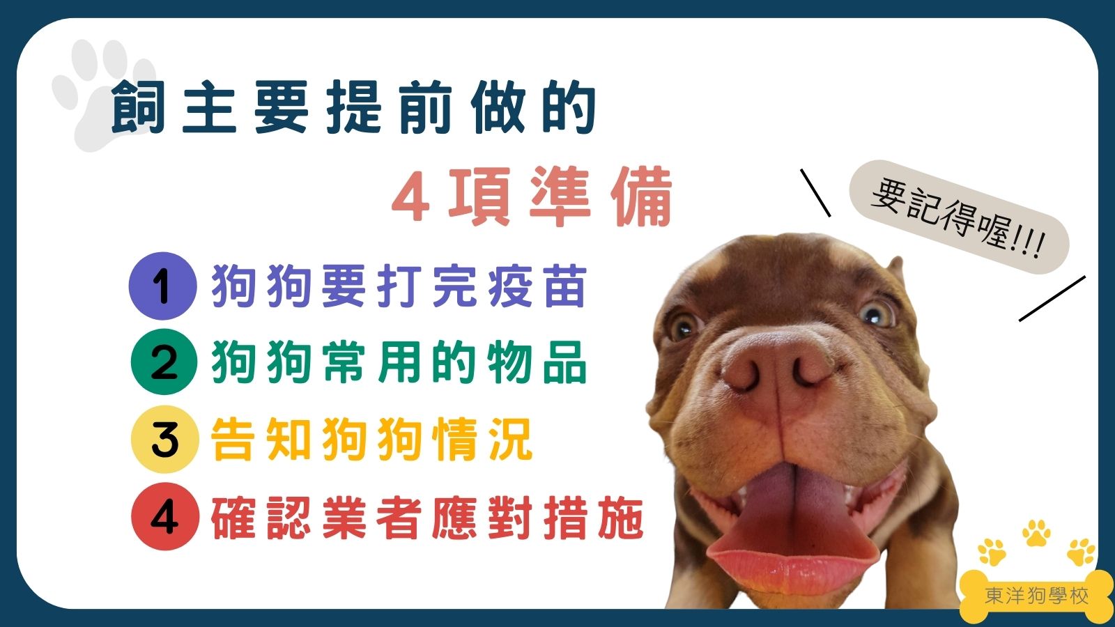 飼主要提前做的4項準備