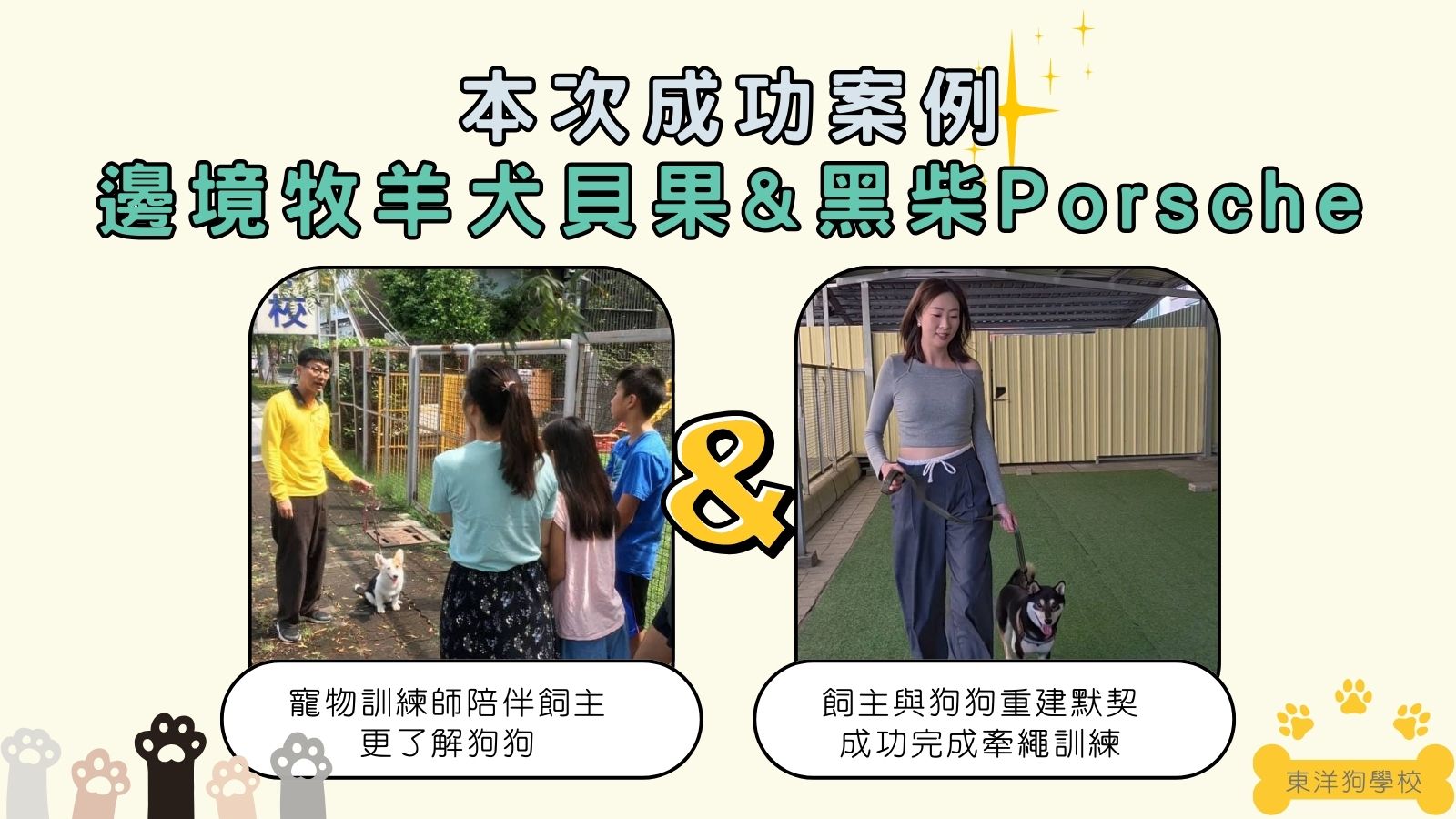 狗狗行為分析實例：飼主與狗狗一起進步！