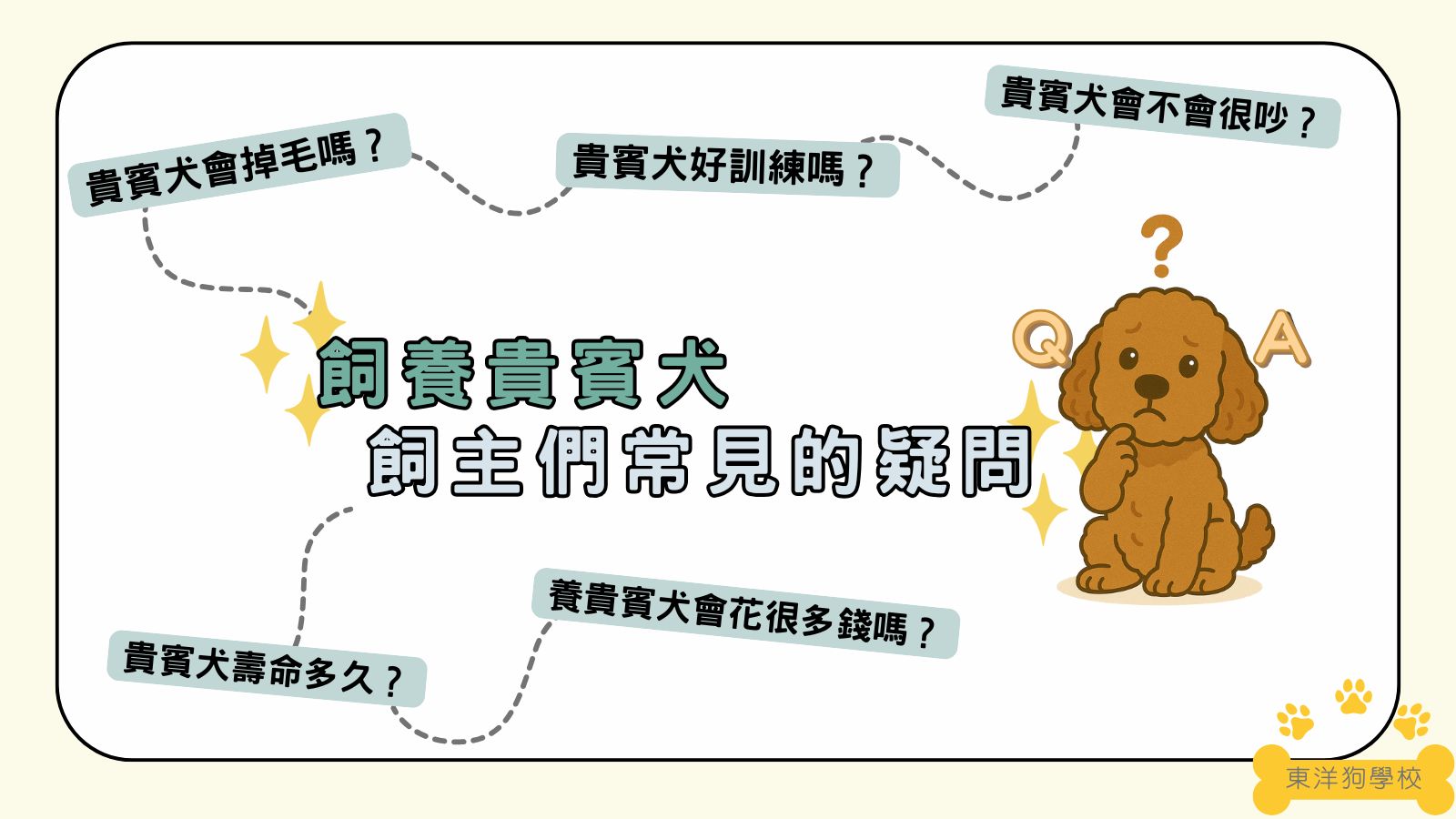 貴賓犬常見問題