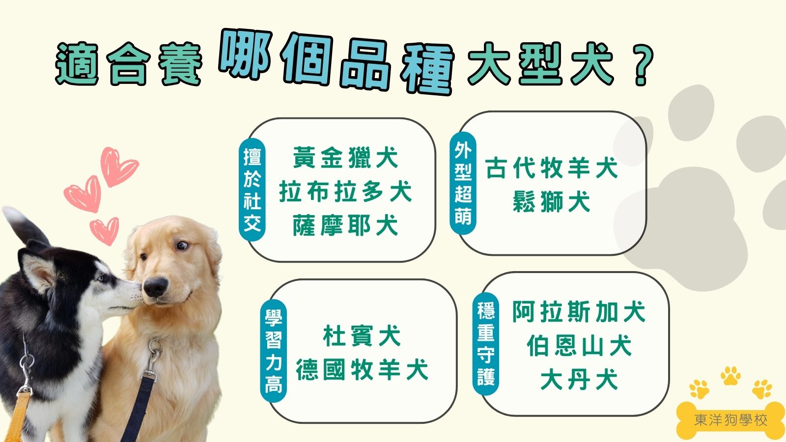 適合養哪種大型犬