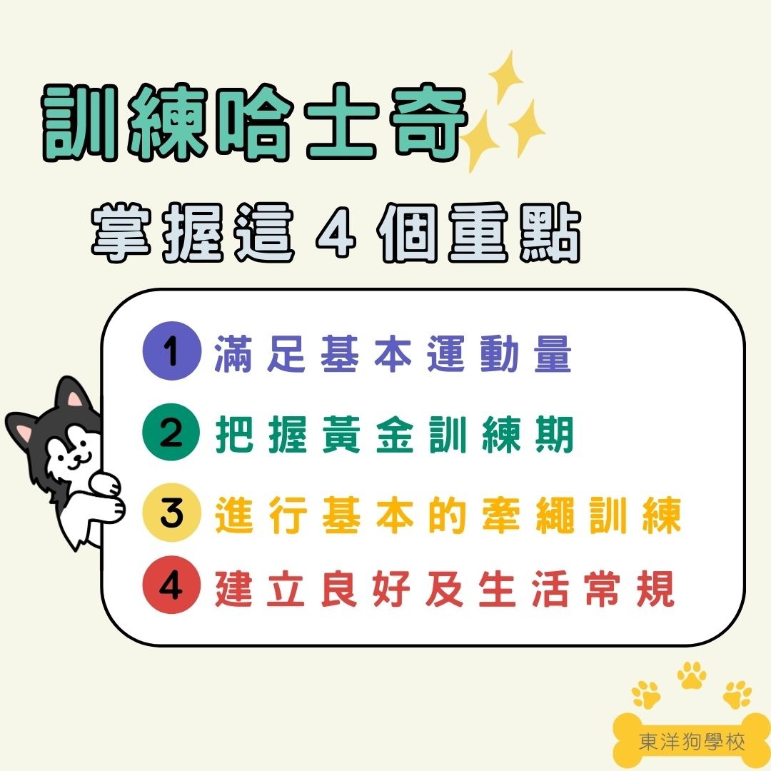 哈士奇訓練