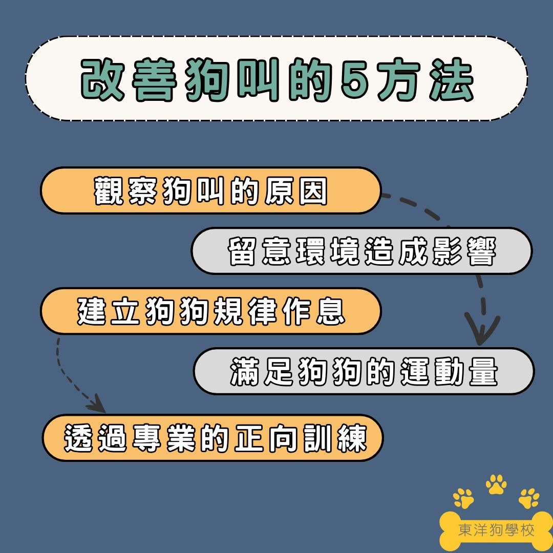 狗叫不停怎麼辦
