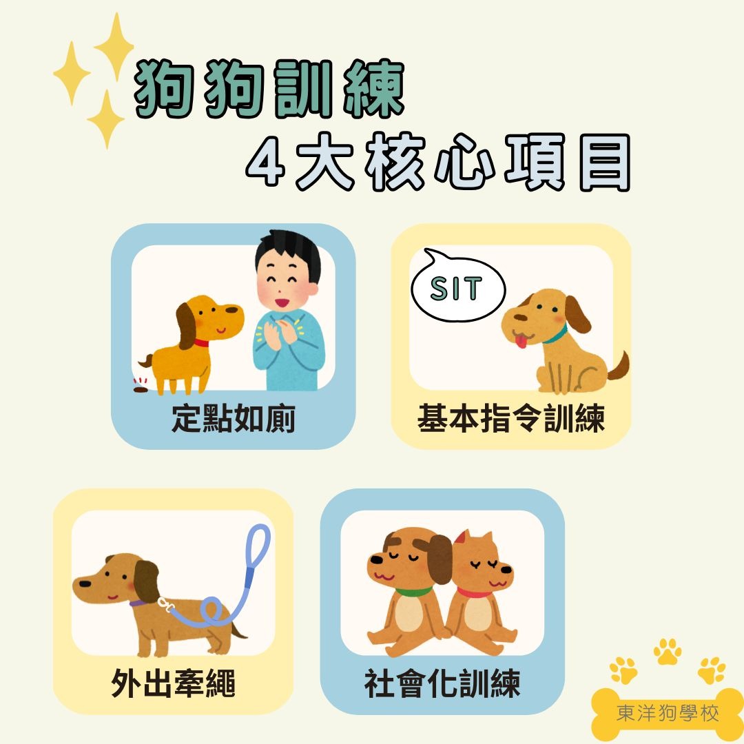 狗狗訓練的核心項目