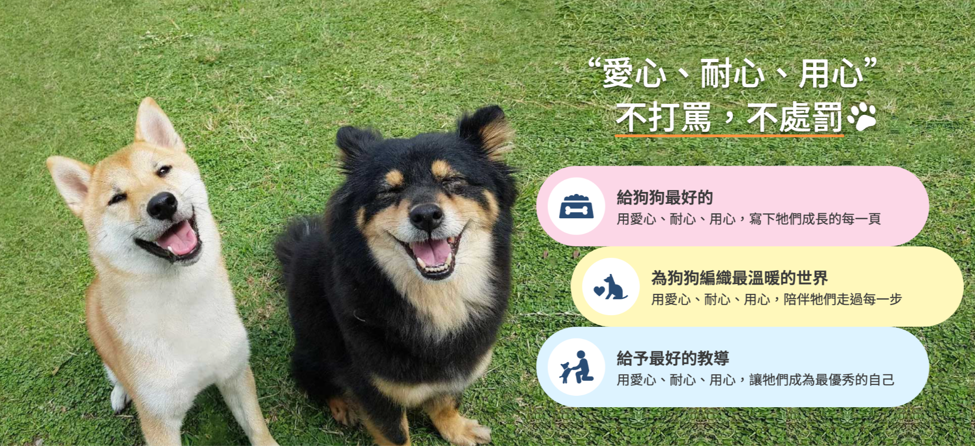 狗狗訓練交給東洋狗學校