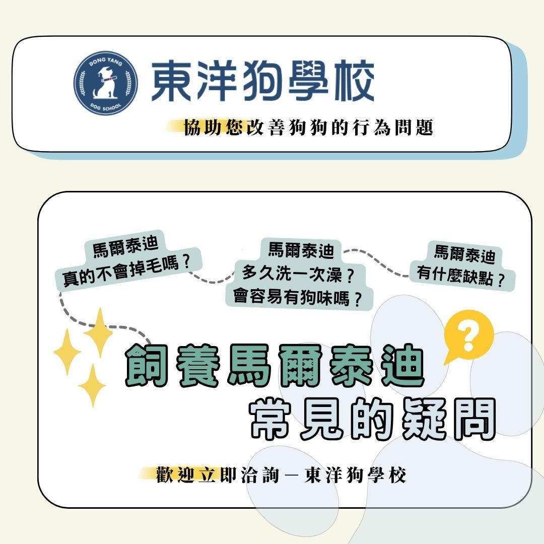 馬爾泰迪常見問題