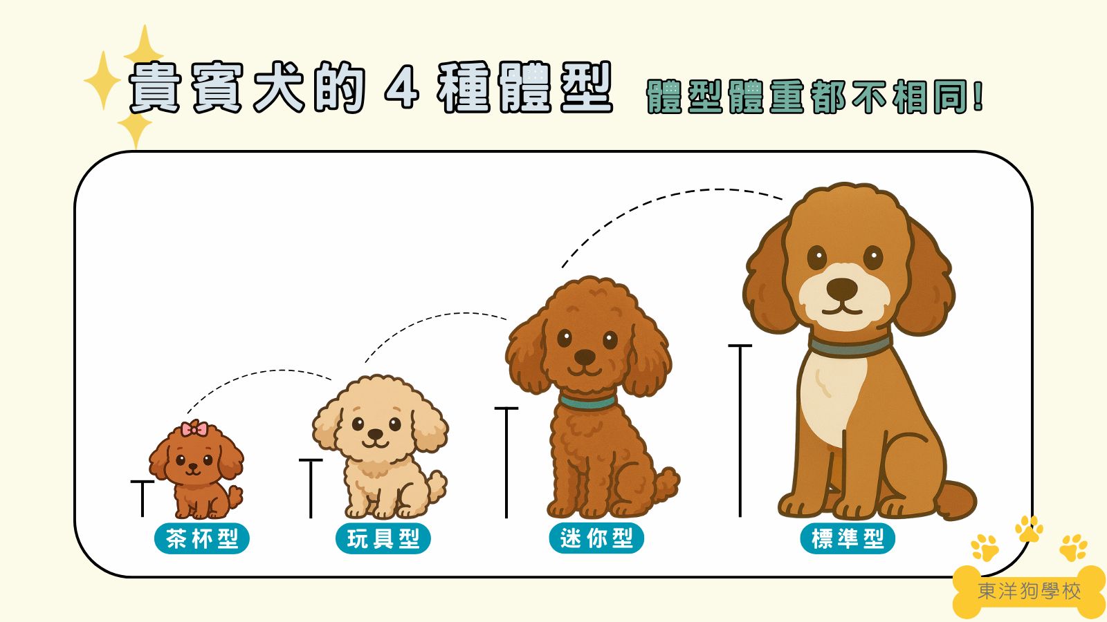 貴賓犬體型
