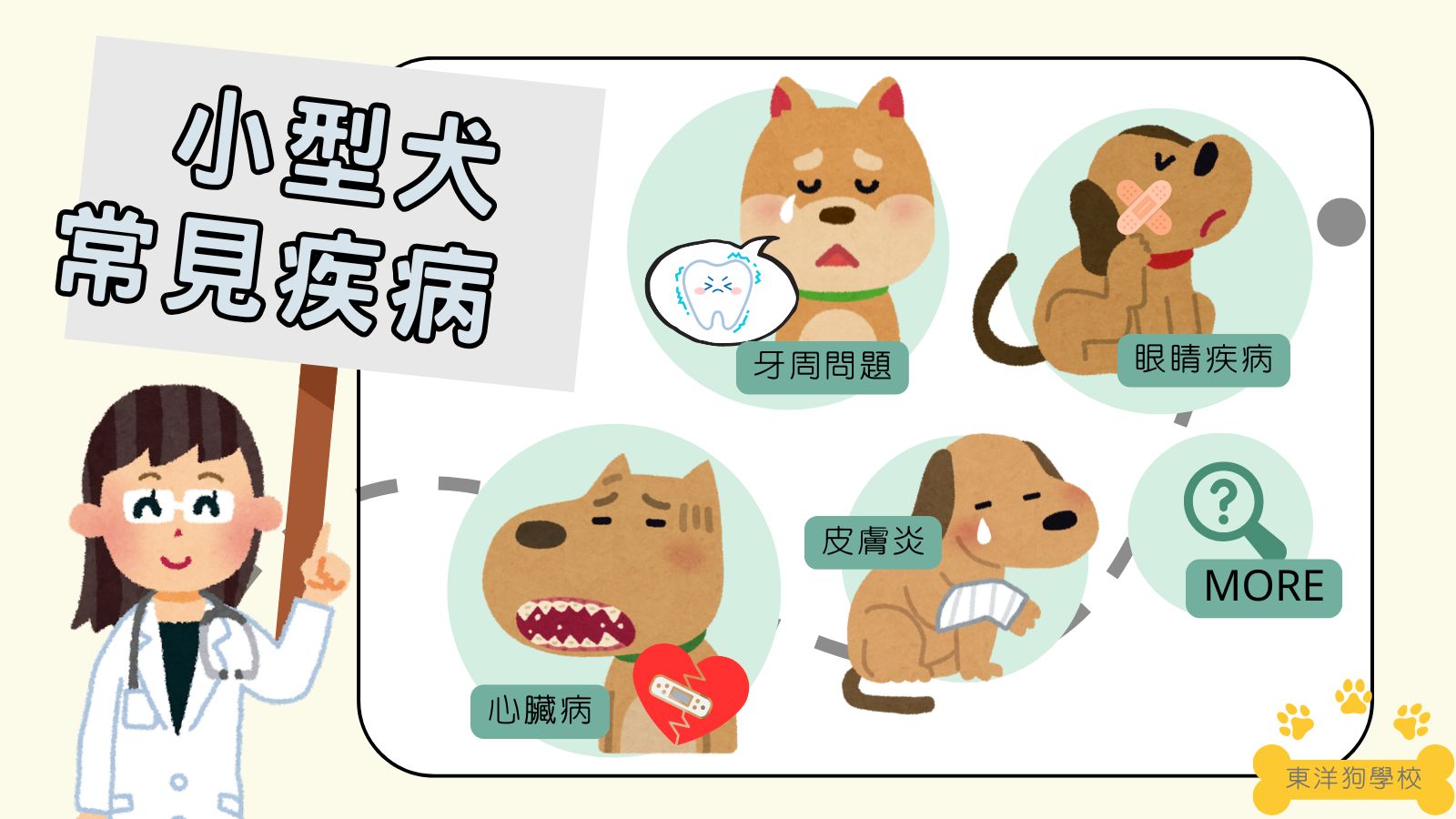小型犬常見疾病