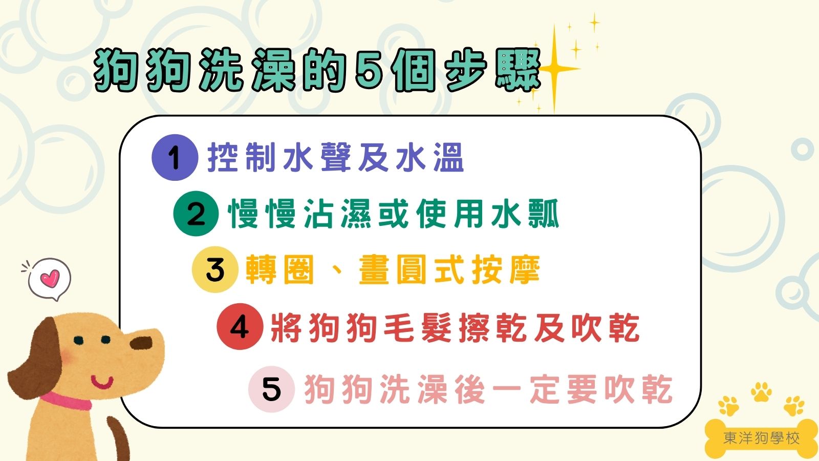 狗洗澡步驟
