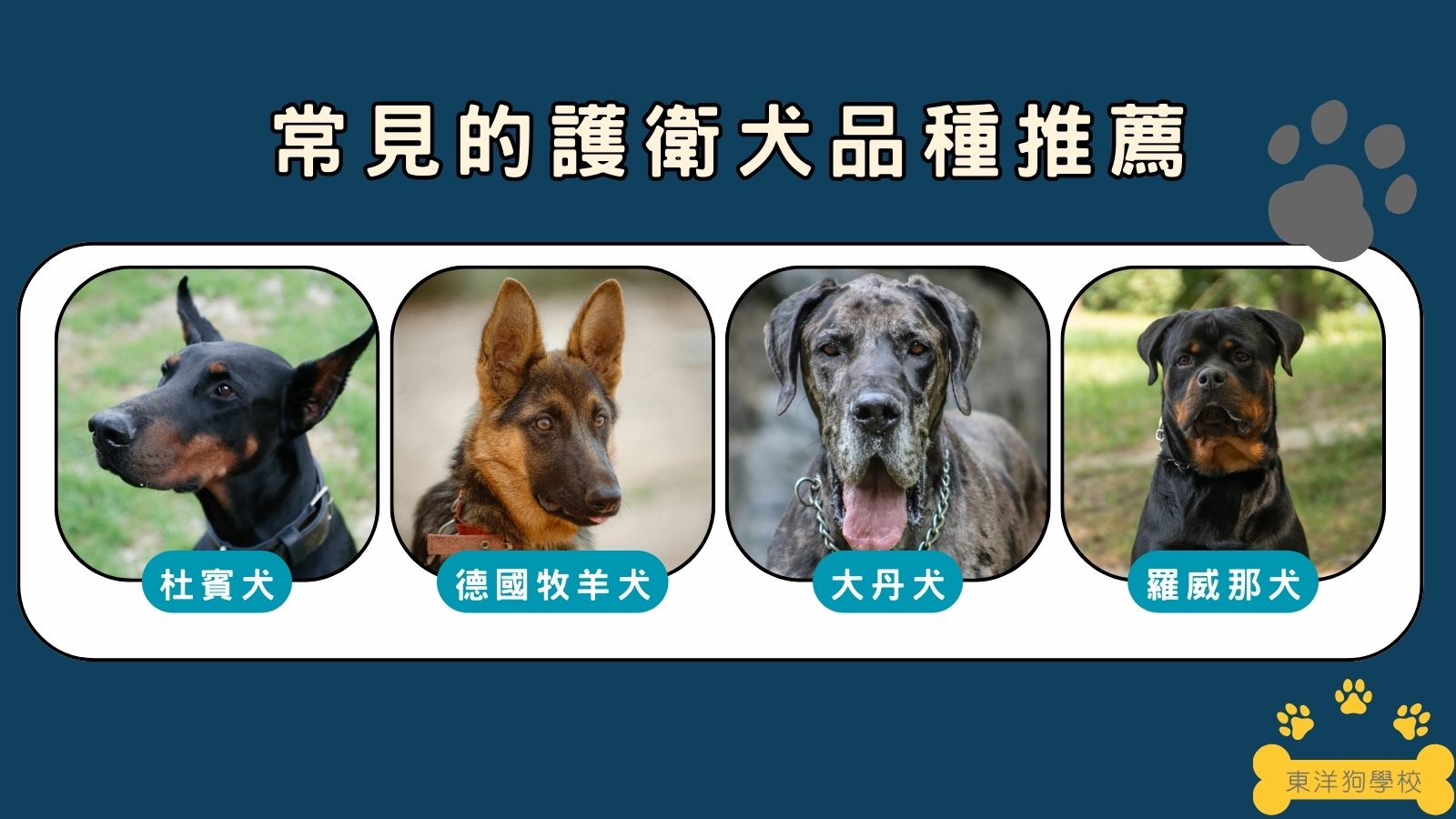 護衛犬品種
