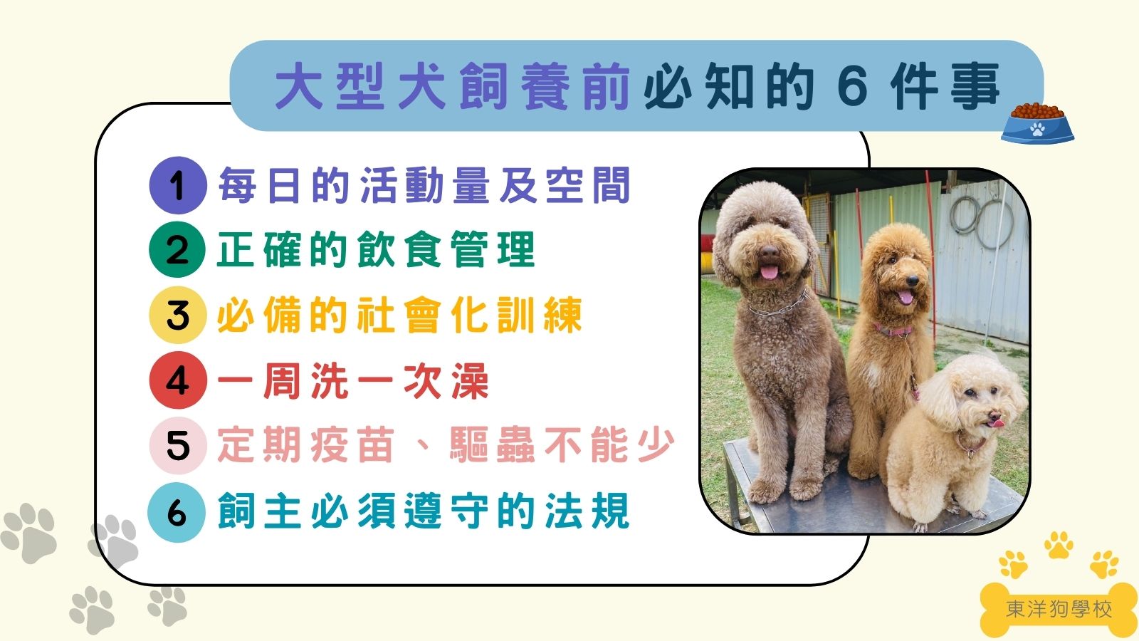 大型犬飼養必知