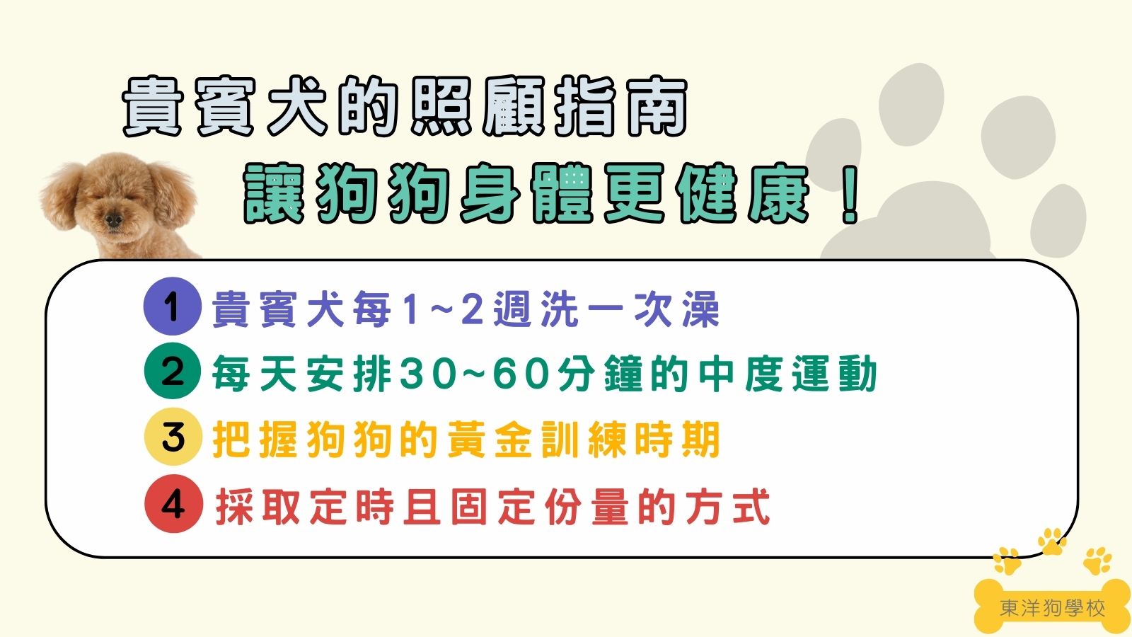 貴賓犬的照顧指南